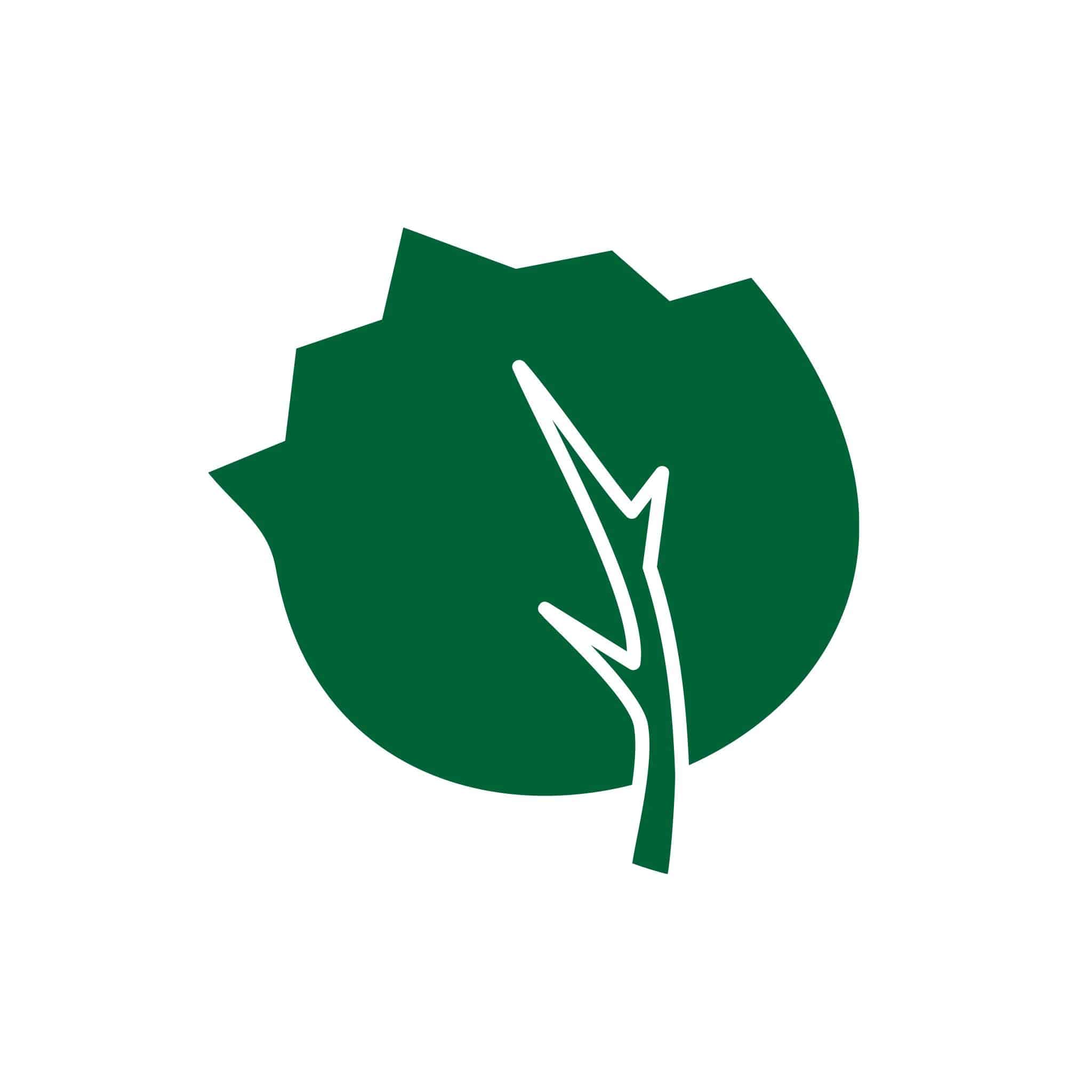 liepa logo omarketing