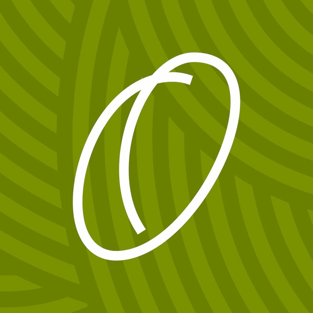 olive virtuves facebook kvadrats